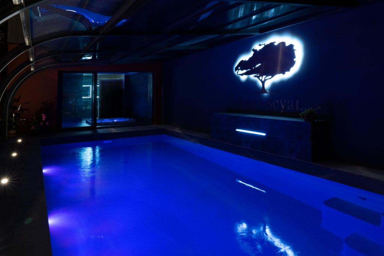 Villa Seyal - Avec Piscine - Jacuzzi - Sauna & Climatisation Le Mans Luaran gambar